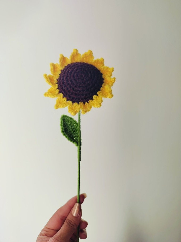 Radiant Sunflower1.jpg