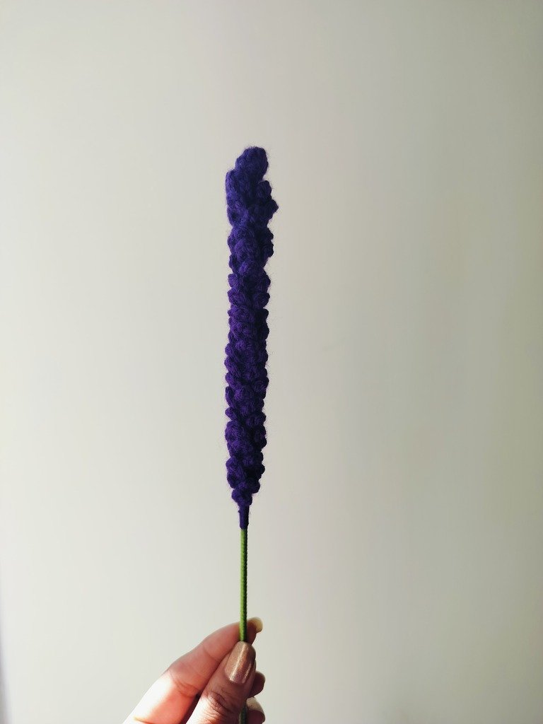 Sweet Lavender_Indigo1.jpg
